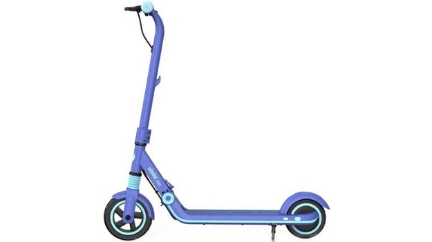 Slika Segway Zing E8